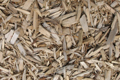 biomass boilers Snitter